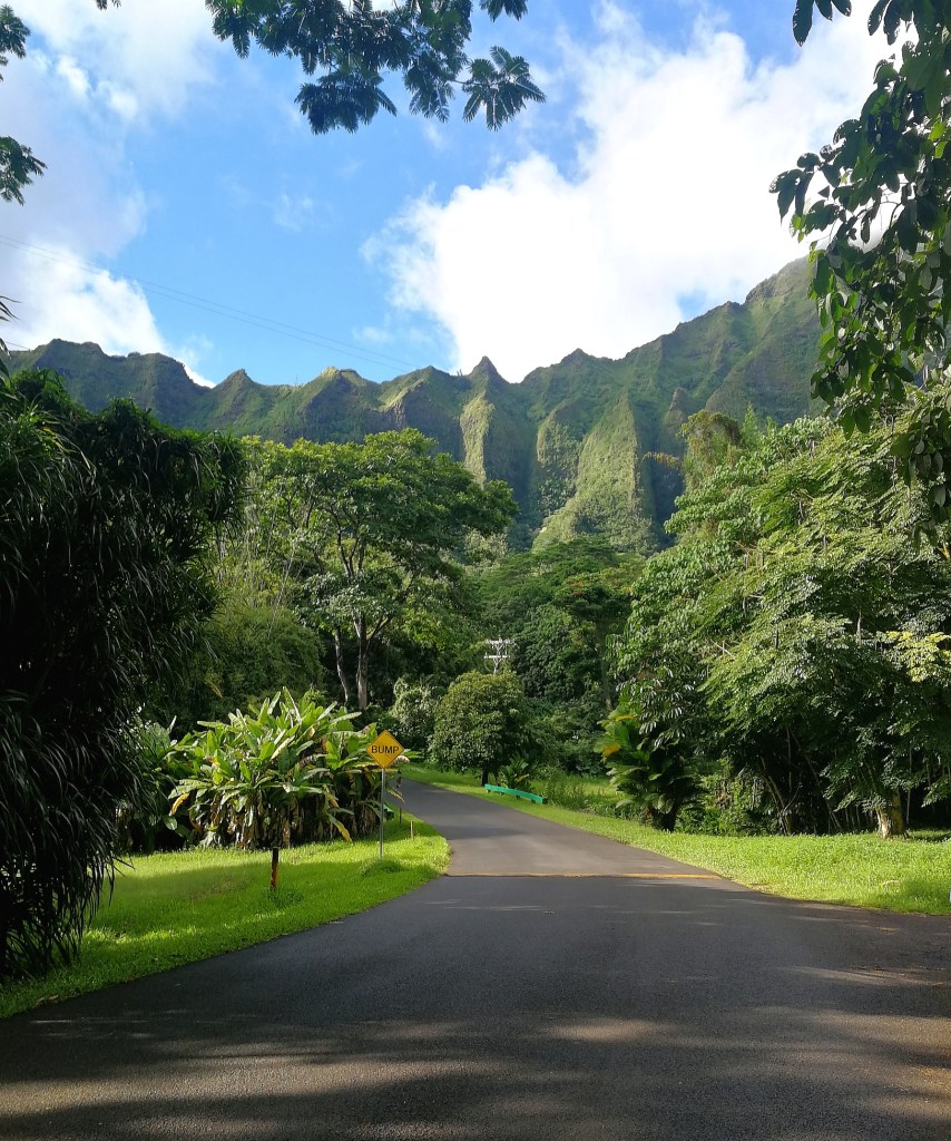 Ho’omaluhia Botanical garden in Hawaii, Havaiji