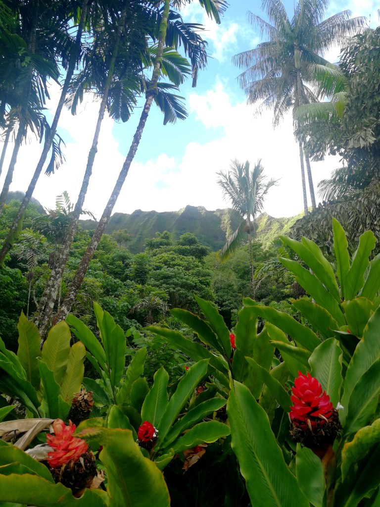 Ho’omaluhia Botanical garden in Hawaii, Havaiji
