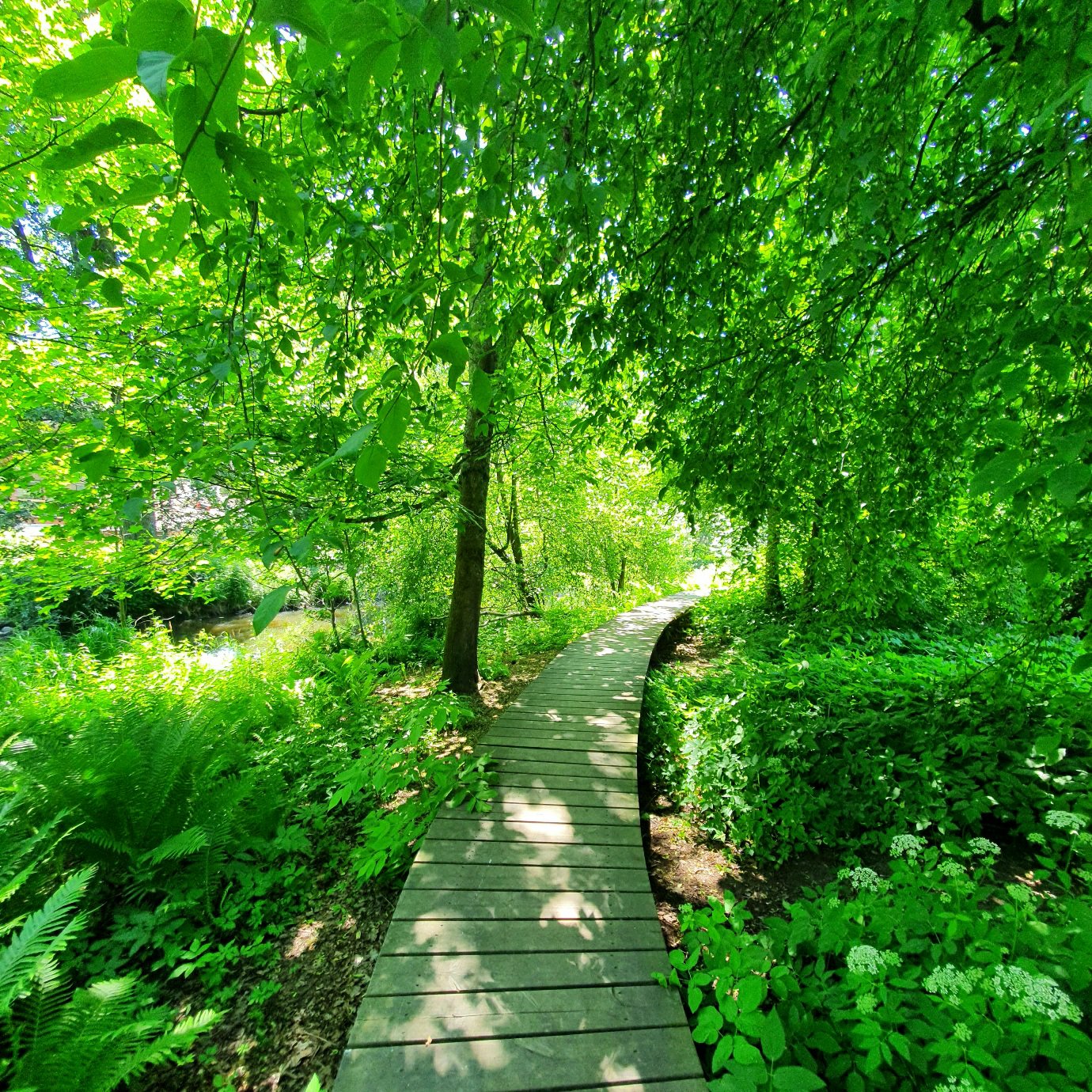 Strömbergin puisto, Helsingin Pitäjänmäessä