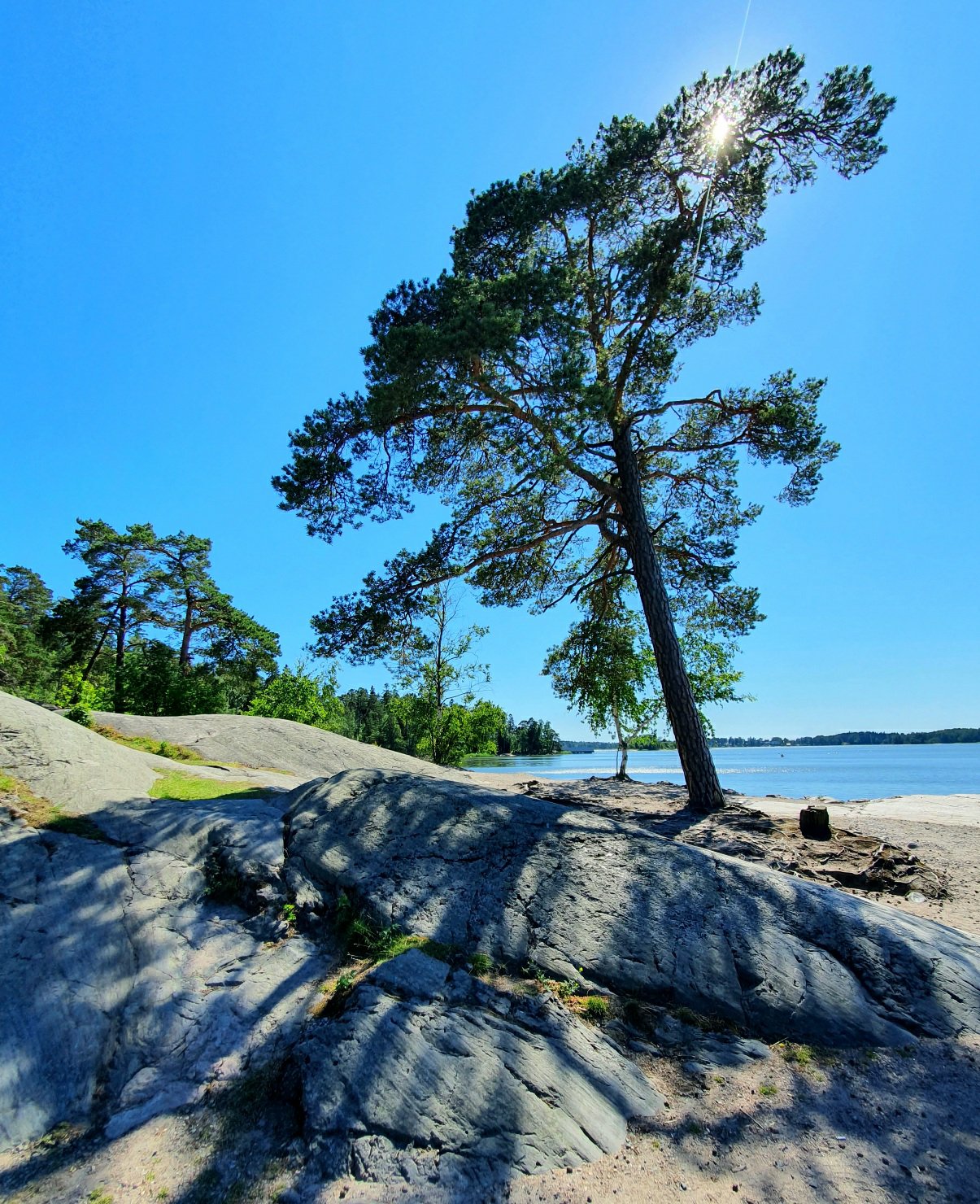 Kesäinen Seurasaari, Helsinki