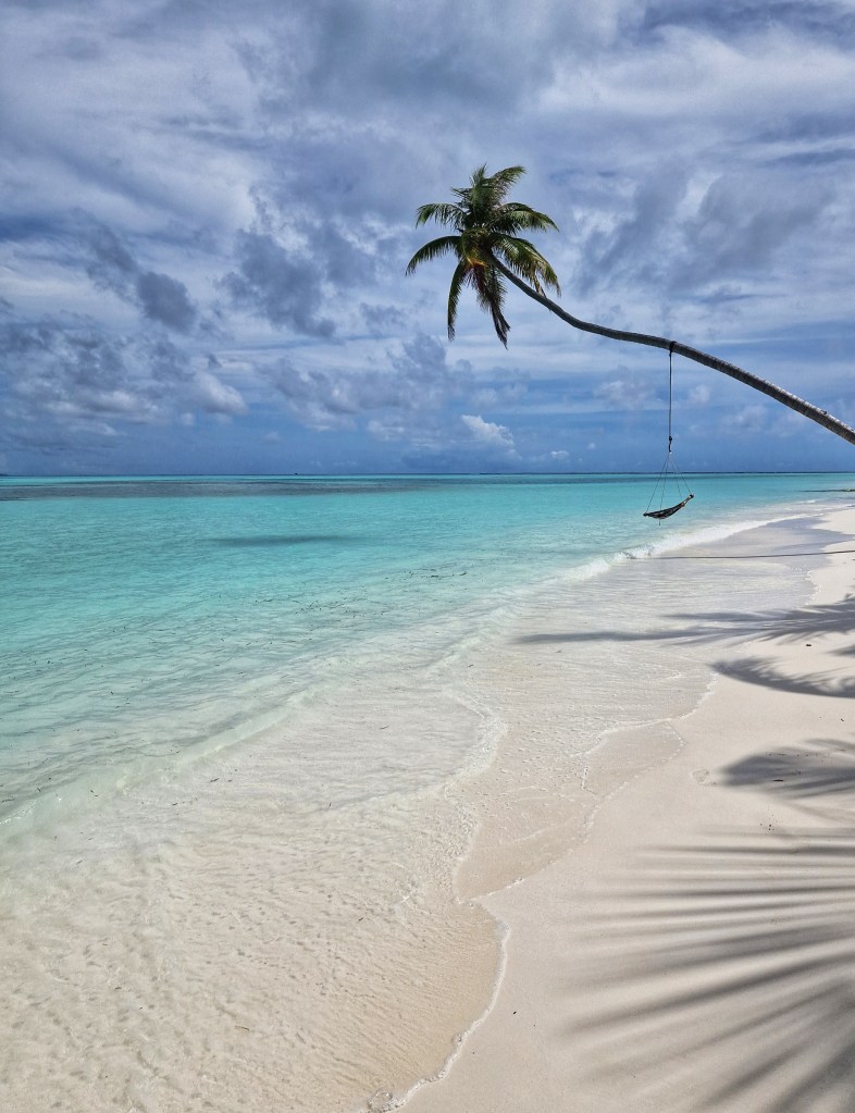 Malediivit, palmu ja keinu